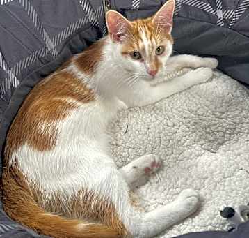 Photo of Noah
