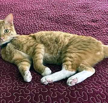 Photo of Atari