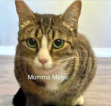 Photo of Magic