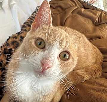 Photo of Sammy Van Gogh