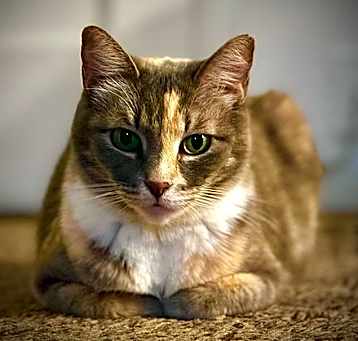 Photo of Camille
