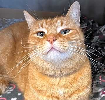 Photo of Julius