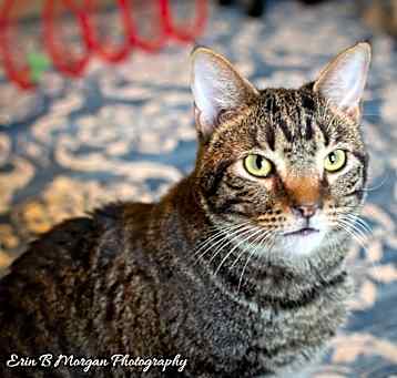 Photo of Rocket
