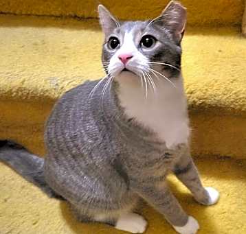 Photo of Quiche