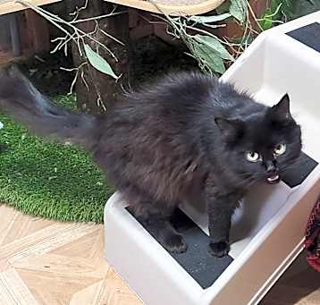Photo of Liza