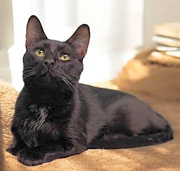 Photo of Nicolas