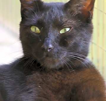 Photo of Omega