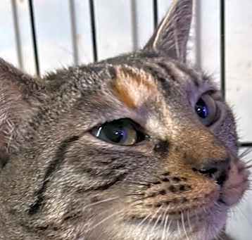 Photo of Abbie