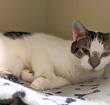 Photo of 117 Melvin