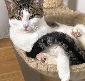 Photo of Callie Mae