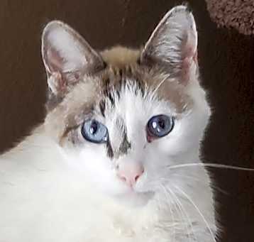 Photo of Handsome