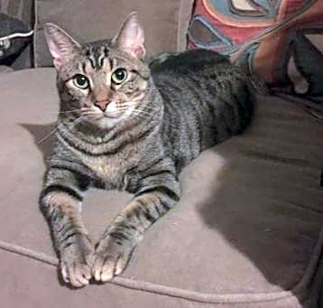 Photo of Solaris