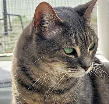 Photo of ARTEMUS