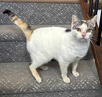 Photo of Laurel
