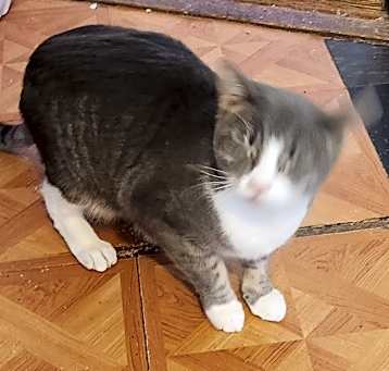 Photo of Jenny
