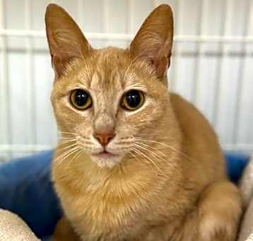 Photo of Tookie