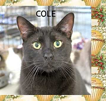 Photo of Cole