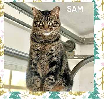 Photo of Sam