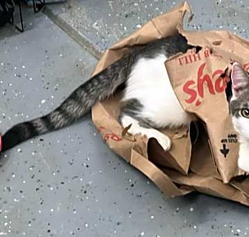 Photo of Simon
