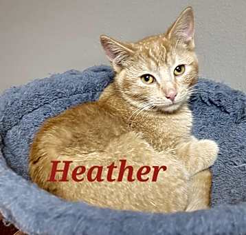 Photo of Heather