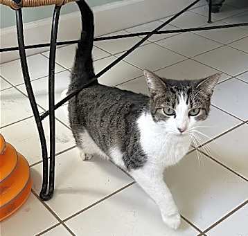 Photo of Hildy