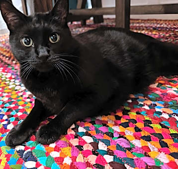 Photo of Roscoe