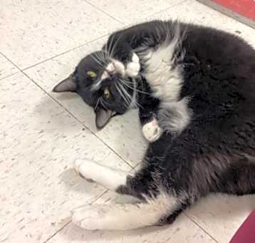 Photo of ROCKET