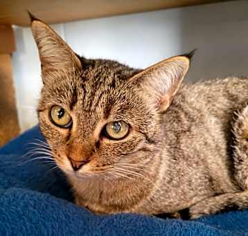 Photo of 4837 Lexi