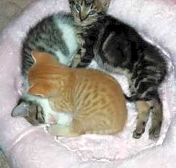 Photo of Tabitha