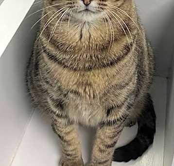 Photo of Annie