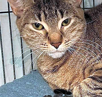 Photo of Duchess