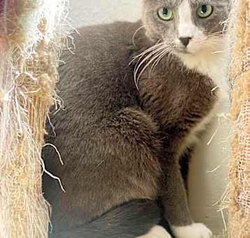 Photo of Mokeybear