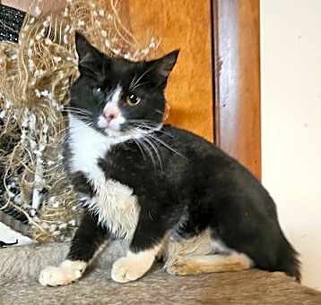 Photo of Vinny