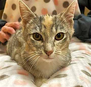 Photo of Bertha