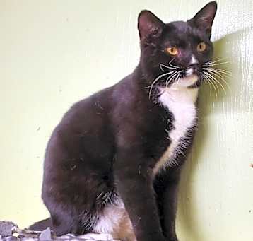 Photo of Sam
