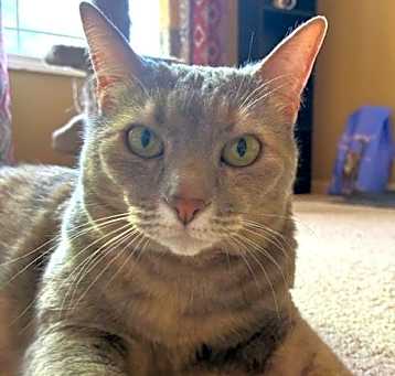 Photo of Cleopatra