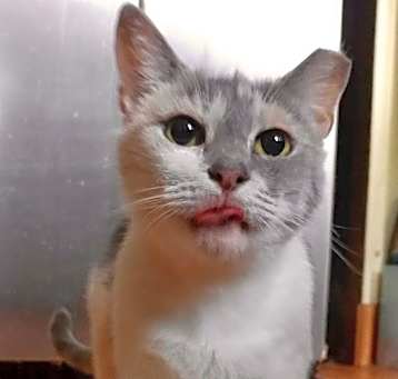 Photo of Butter