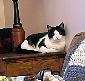 Photo of Lucy