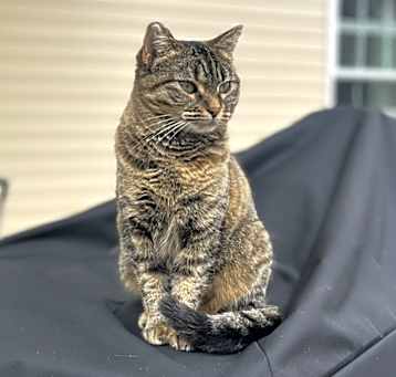 Photo of Percy