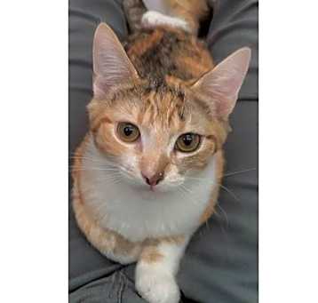 Photo of BELLA