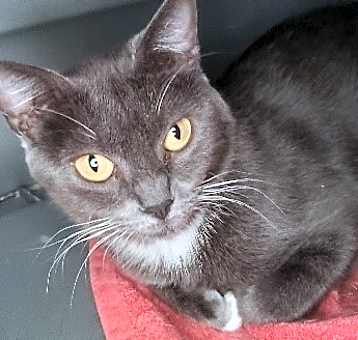 Photo of Cleo