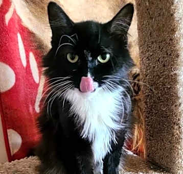Photo of Momma Mia