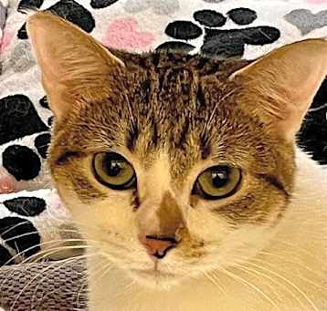 Photo of Fiona