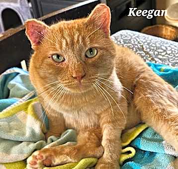Photo of Keegan