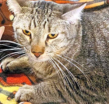 Photo of KIT