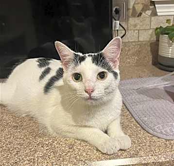Photo of Sugar