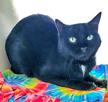 Photo of Buster AKA Stringer