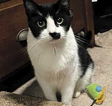 Photo of Dooby