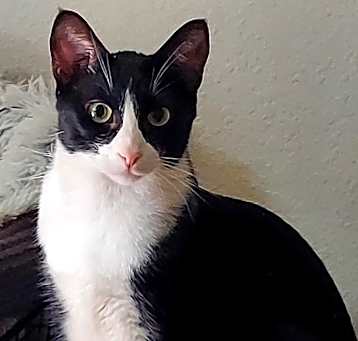 Photo of Mickey