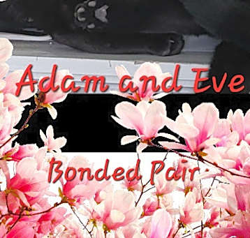 Photo of Adam